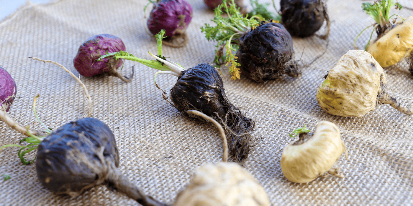 Maca – Wirkung von Superfood Bio Maca Pulver & Co