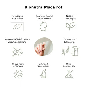 Maca rot Kapseln: bio, vegan, rueckstandskontroliert, ohne Zusatzstoffe, Gluten und Laktosefrei