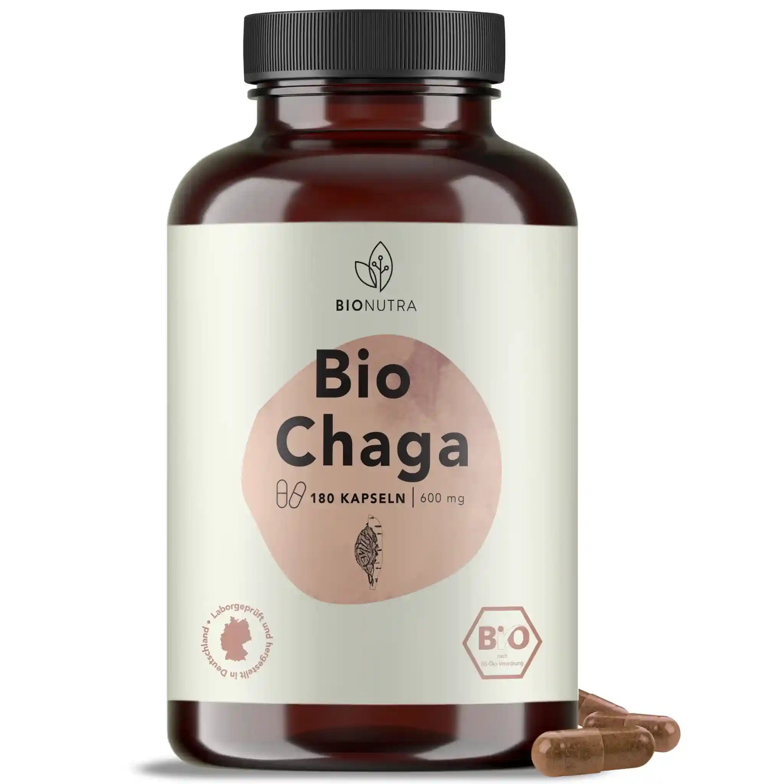 bio chaga pilz kapseln, hochdosiert, 180 Stück in brauner PET-Dose, 600 mg pro Kapsel
