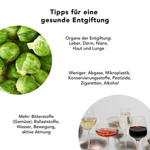 Tipps zur natürlichen Entgiftung: Chlorella Pulver unterstützt Leber, Darm und Zellschutz – mit Bitterstoffen, Ballaststoffen und aktiver Atmung zur Entlastung der Entgiftungsorgane