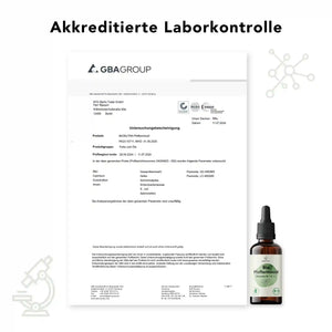 Untersuchungsbescheinigung für Bio Pfefferminzoel – akkreditierte Laboranalyse durch GBA Group zu Schwermetallen, Mikrobiologie und Rückständen, geprüft nach Lebensmittelstandard